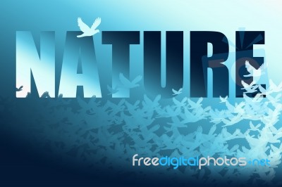 Abstract Nature Bird Background Stock Image