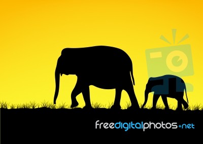 Abstract Of Elephant Family Stock Image