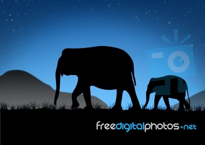 Abstract Of Elephant Family Stock Image