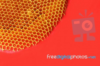 Abstract Of Honey Comb On Colorful Wooden Panel Stock Photo