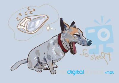 Adorable Yawning Dog Stock Image