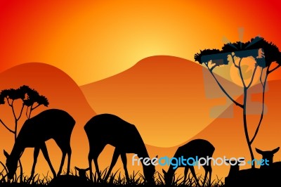 Africa Safari Stock Image