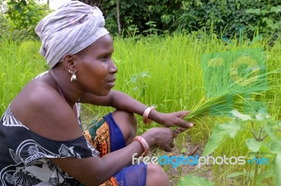 African Woman Stock Photo