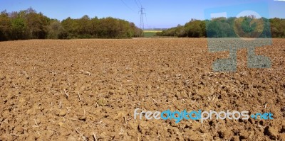 Agricultural Land Stock Photo