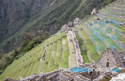 Agricultural Terraces At Machu Picchu Stock Photo