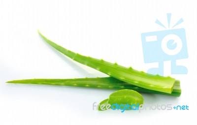 Aloe Vera Leaf Stock Photo