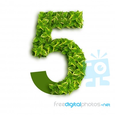 Alphabet Number 5 With Leaves Stock Photo