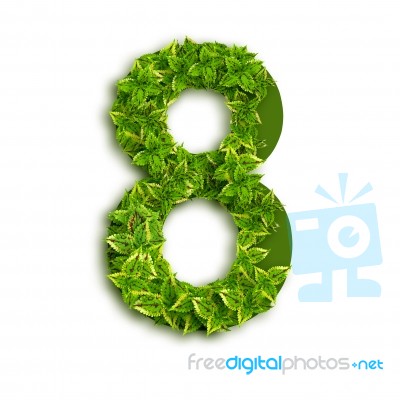 Alphabet Number 8 With Leaves Stock Photo