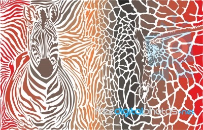Animal Background Of Zebra And Giraffe Stock Image