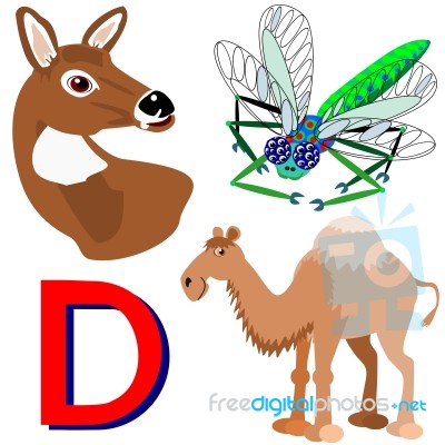 Animals Name Start With Letter D Stock Image