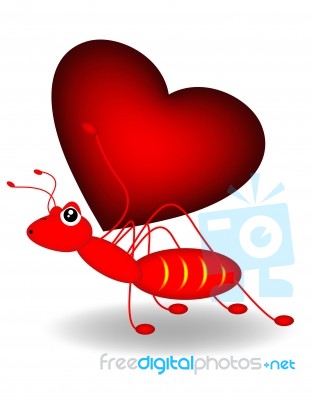 Ant And Heart Stock Image