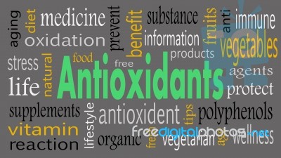 Antioxidants Word Cloud Concept - Illustration Stock Image