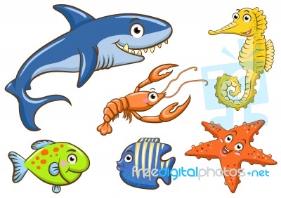 Aquatic Animals Stock Image