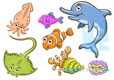 Aquatic Animals Stock Image