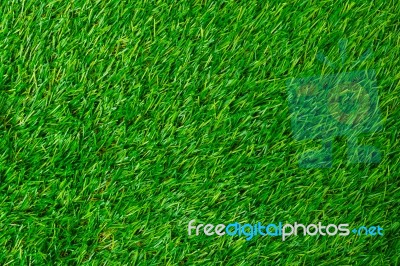 Artificial Turf Green Grass Stock Photo