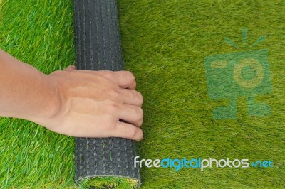 Artificial Turf Green Grass Roll With Hand Stock Photo