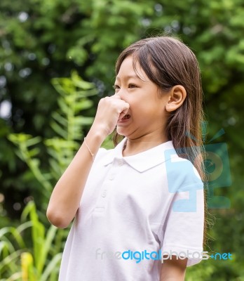 Asian Young Girl Stock Photo
