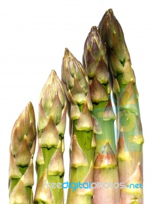 Asparagus Spears Stock Photo