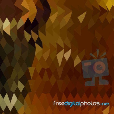 Auburn Abstract Low Polygon Background Stock Image