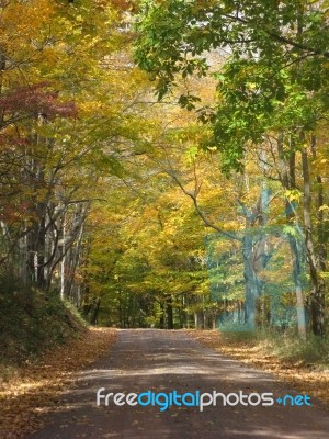 Autumn Bucks County Country Road Stock Photo