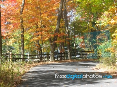Autumn Bucks County, Pa Country Road With Fence Stock Photo