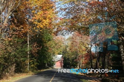 Autumn Bucks County, Pa Foliage -road With Yellow And Orange Trees, Barn, & Rock Wall With Pumpkins Stock Photo