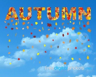 Autumn Colored Leaves In Spring Title Stock Image