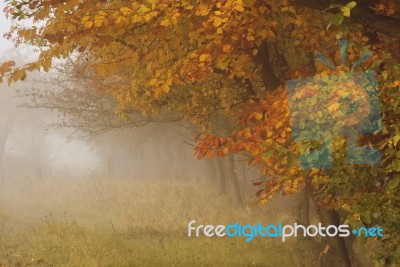 Autumn Colors Stock Photo