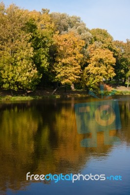 Autumn Lake In The Park Stock Photo