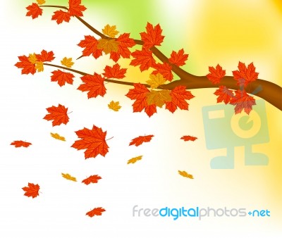 Autumn Leaves Background Stock Image