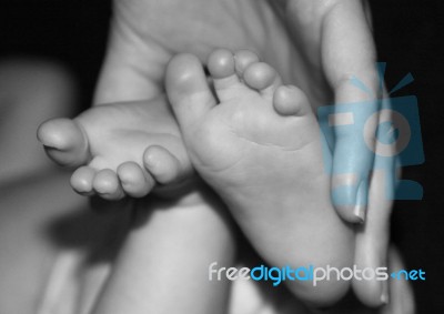 Babies Feet Stock Photo