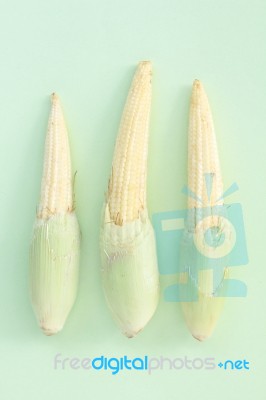 Baby Corn Stock Photo