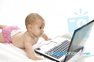 Baby Looking Laptop Stock Photo