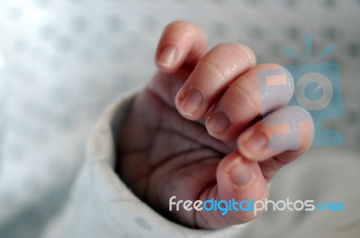 Babys Hand Stock Photo