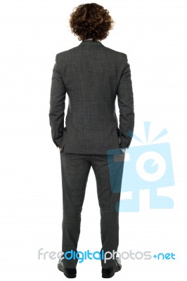 Back Pose Of A Man In Gray Formals Stock Photo