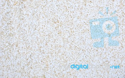 Background Of Rice Stock Photo