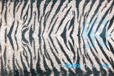 Background Of Striped Animal Fur Print Stock Photo