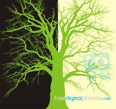 Background With Old Tree Branched Stock Image