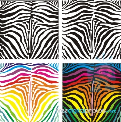 Background Zebra Stock Image