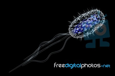 Bacteria Cell Stock Image