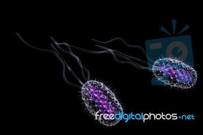 Bacteria Cell Stock Image