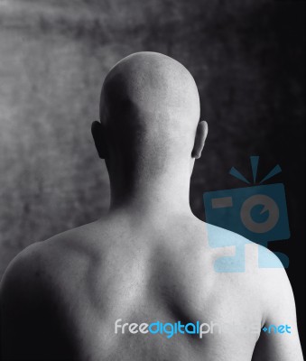 Bald Head Stock Photo Bald Head Stock Photo