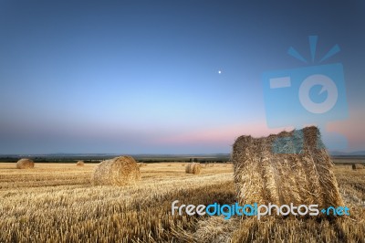 Bales Of Hay After A Harvest Stock Photo