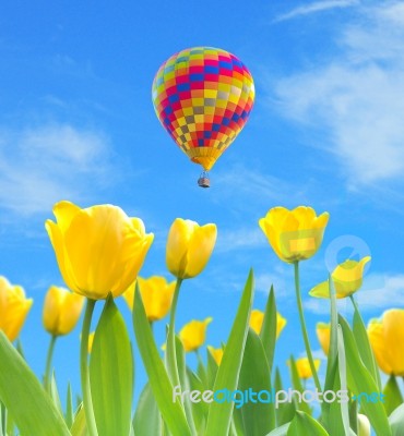 Balloon With Yellow Tulips Stock Photo