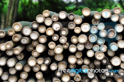 Bamboo Stack Stock Photo