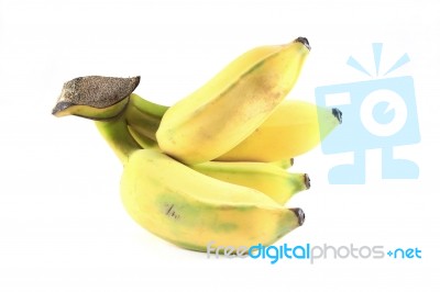 Banana Right Stock Photo