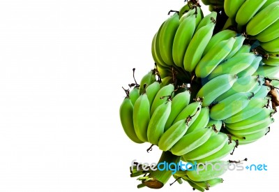 Bananas Isolated On White Stock Photo