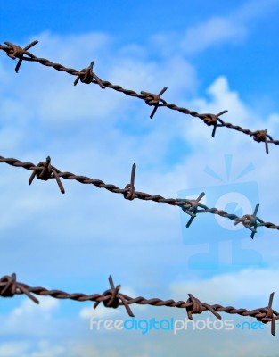 Barbed Wires Against Blue Sky Stock Photo