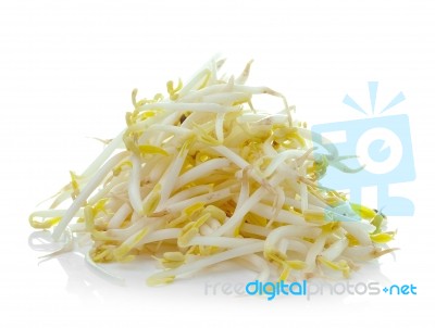 Bean Sprouts On White Background Stock Photo