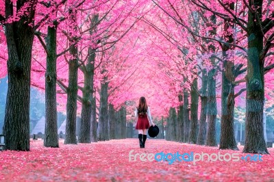 Beautiful Girl With Pink Leaves In Nami Island, South Korea Stock Photo